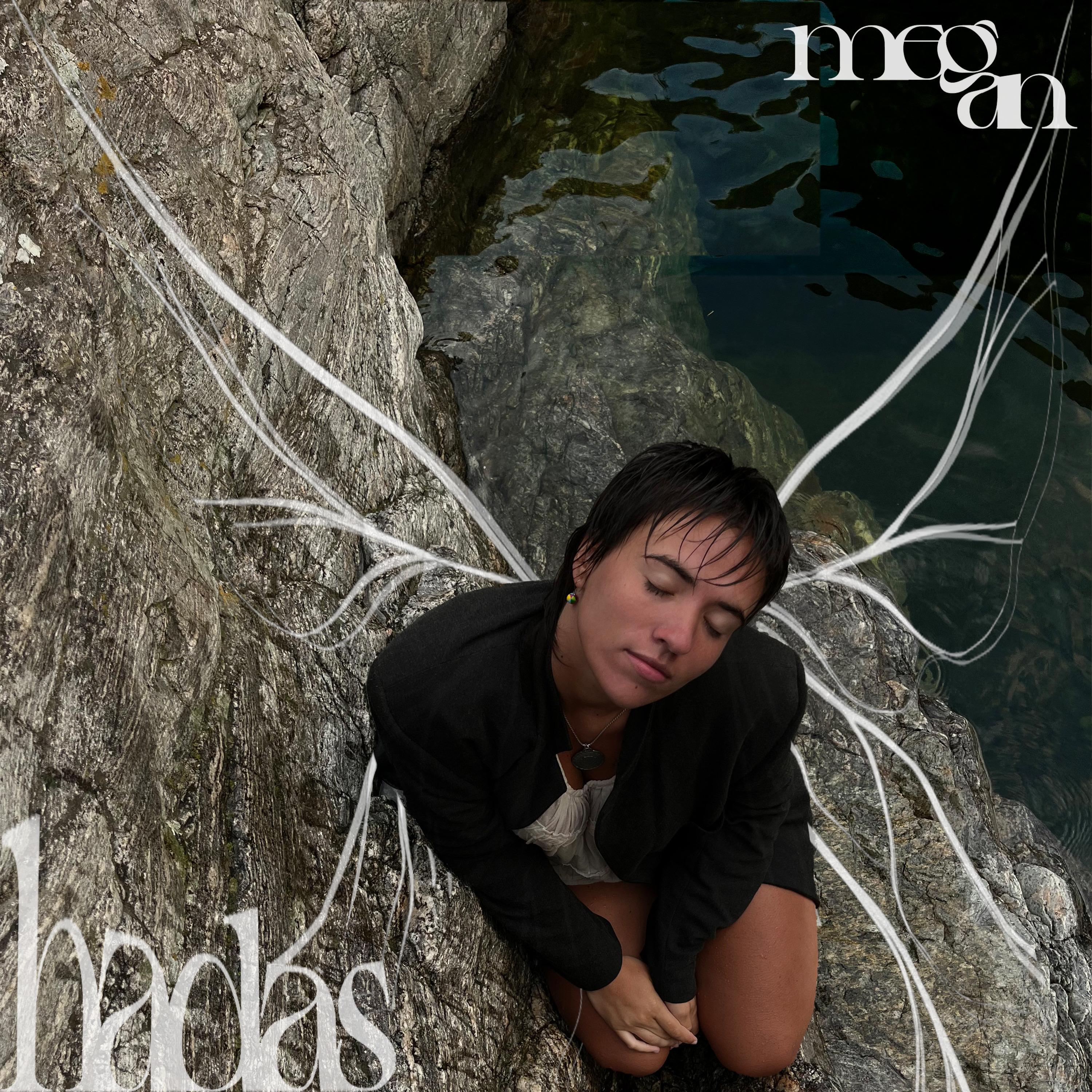 Portada de HADAS